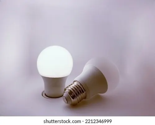 Beurre de karité pur 250g